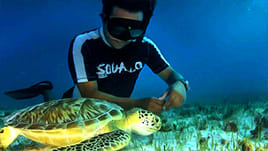 Snorkeling Tour Cancun